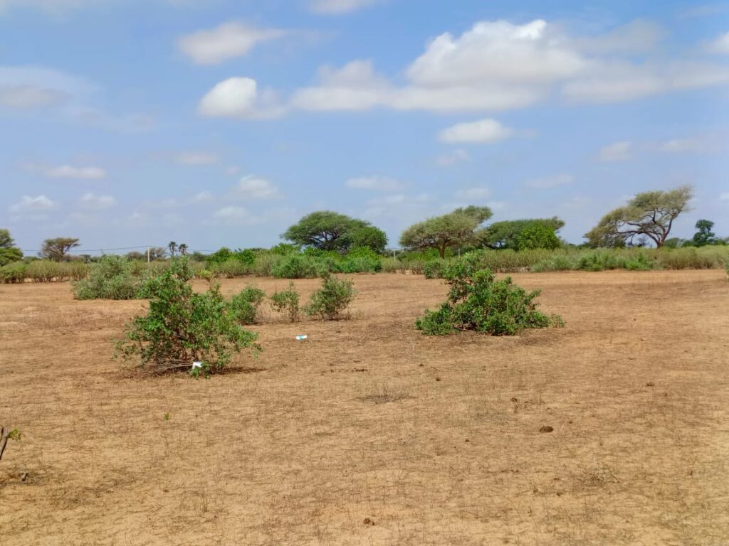 Terrain Agricole de 8,77 Hectares vers Thiénaba – Thiès