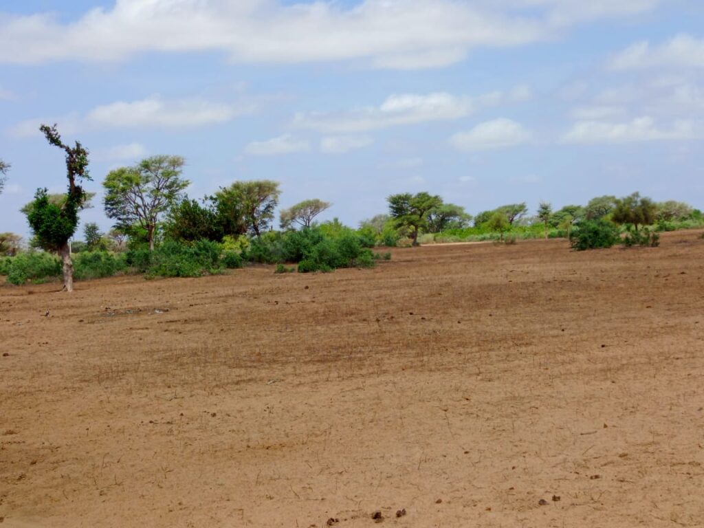 Terrain Agricole de 8,28 Hectares vers Thiénaba – Thiès