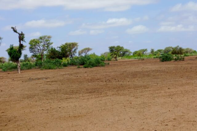 Terrain Agricole de 8,28 Hectares vers Thiénaba – Thiès