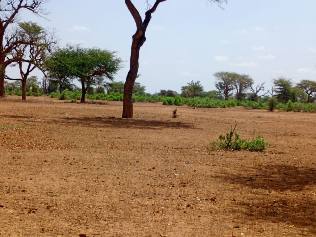 Terrain Agricole de 8,28 Hectares vers Thiénaba – Thiès