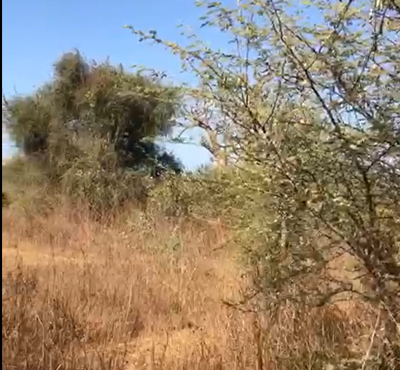 Terrain agricole de 2 Hectares vers Sindia – Mbour