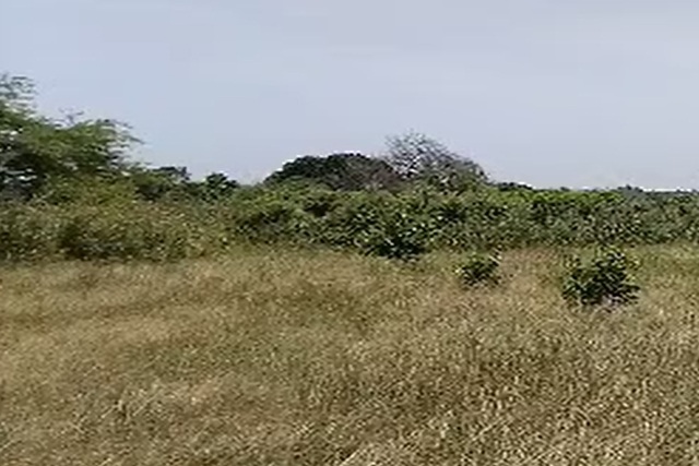 Verger de 2,26 Hectares vers Notto Gouy Diama – Tivaouane