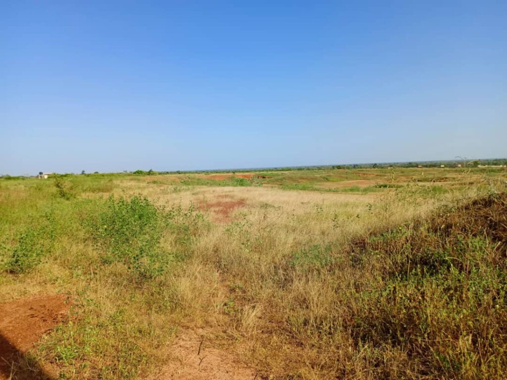 Terrain Industriel de 8 779 m² en bordure de route vers Tassette