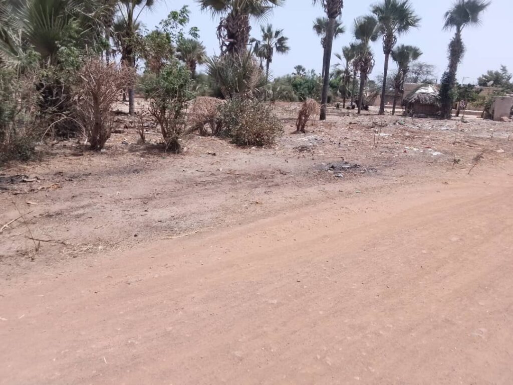 Verger de 3,31 Hectares vers Fandéne– Thiès