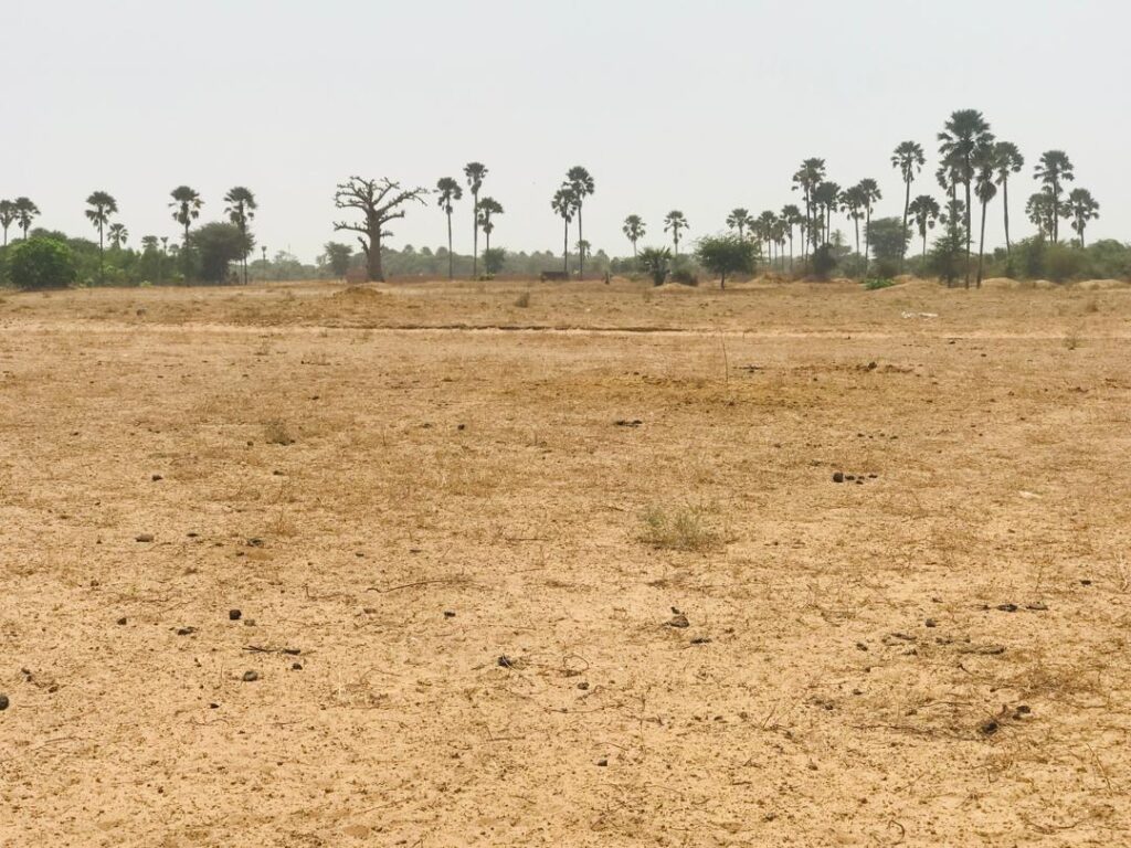 Terrain Agricole de 9103 M²  vers Fimela – Fatick