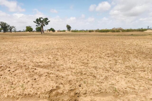Terrain Agricole de 1,95 Hectare vers Sandiara – Mbour
