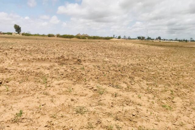 Terrain Agricole de 1,95 Hectare vers Sandiara – Mbour
