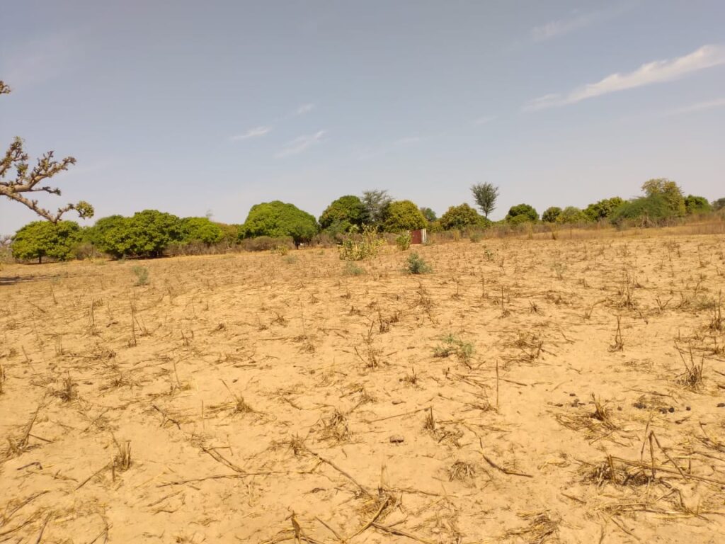 Terrain agricole de 1,78 hectare vers Sandiara – Mbour