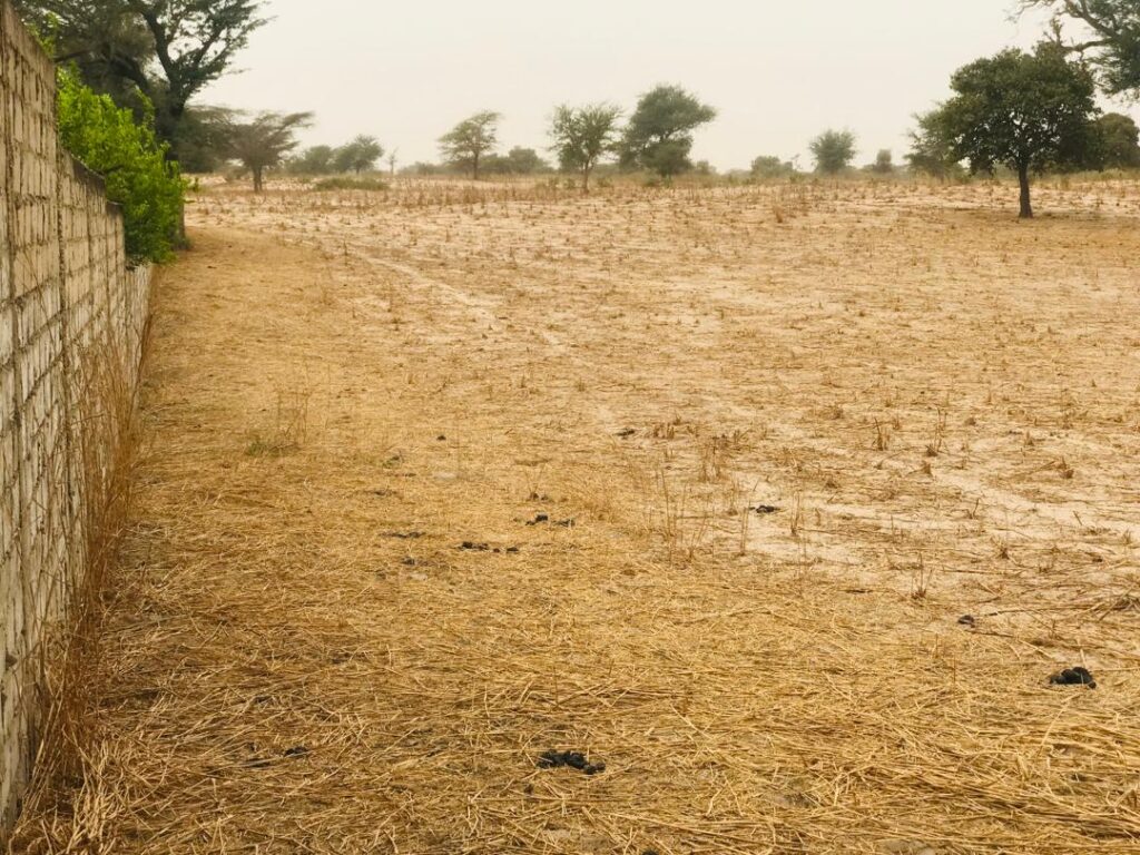 Terrain Agricole de 1,81 Hectare vers Keur Samba Kane – Bambay