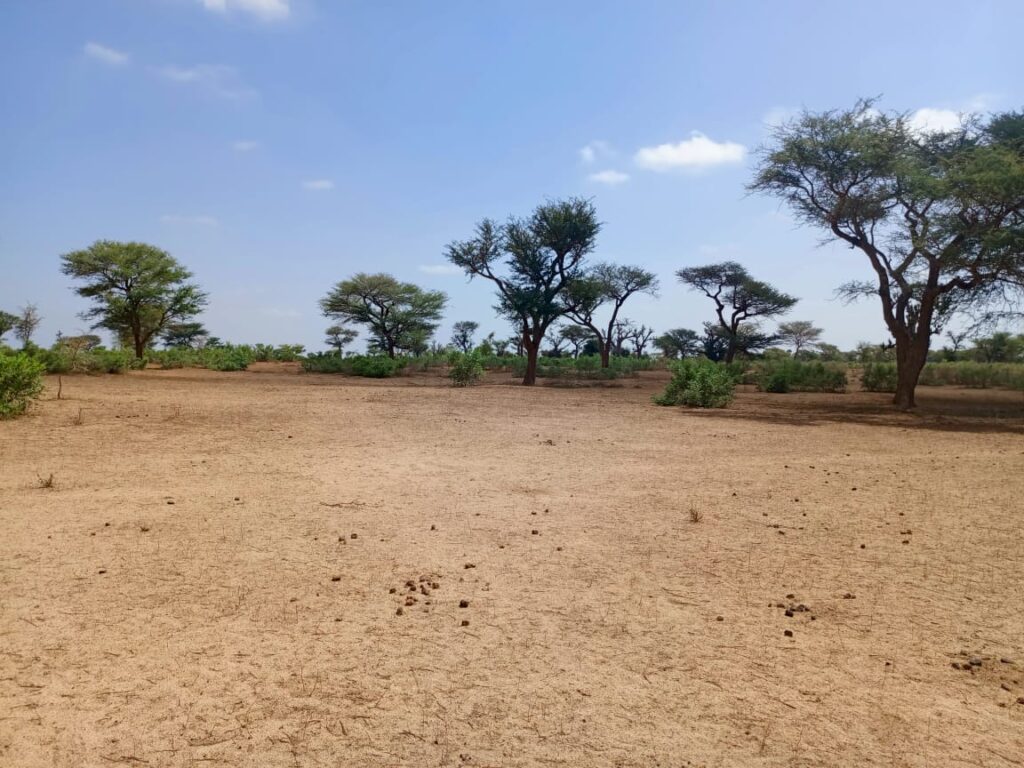 Terrain Agricole de 8,28 Hectares vers Thiénaba – Thiès