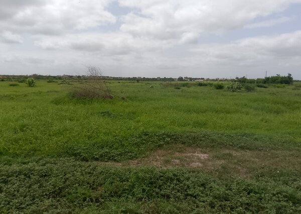 Terrain Agricole de 10 Hectares vers Keur Moussa – Thiès
