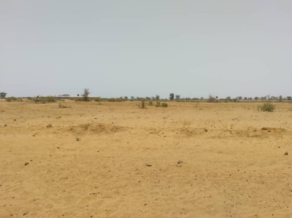 Terrain Agricole de 5 Hectares vers Sindia – Mbour