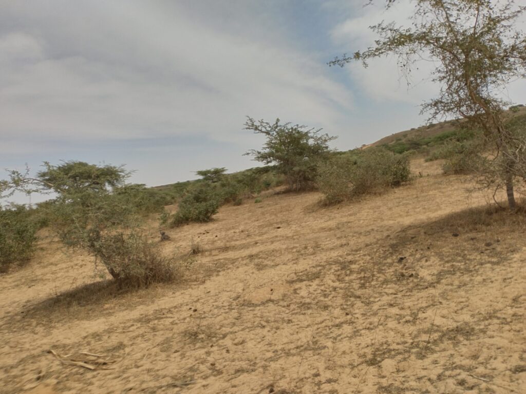 Terrain agricole de 10 hectares vers Darou khoudoss – Tivaouane