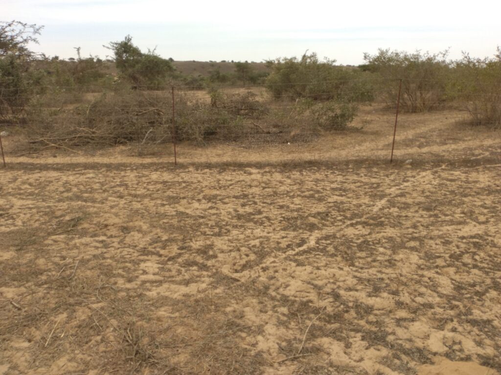 Terrain agricole de 10 hectares vers Darou khoudoss – Tivaouane