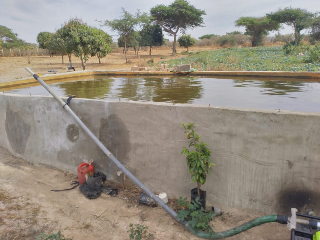 Verger de 1,28 hectare vers Darou Khoudoss – Tivaouane