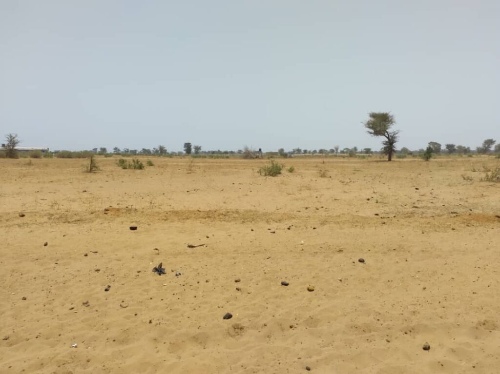 Terrain Agricole de 5 Hectares vers Sindia – Mbour