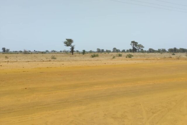 Terrain Agricole de 5 Hectares vers Sindia – Mbour