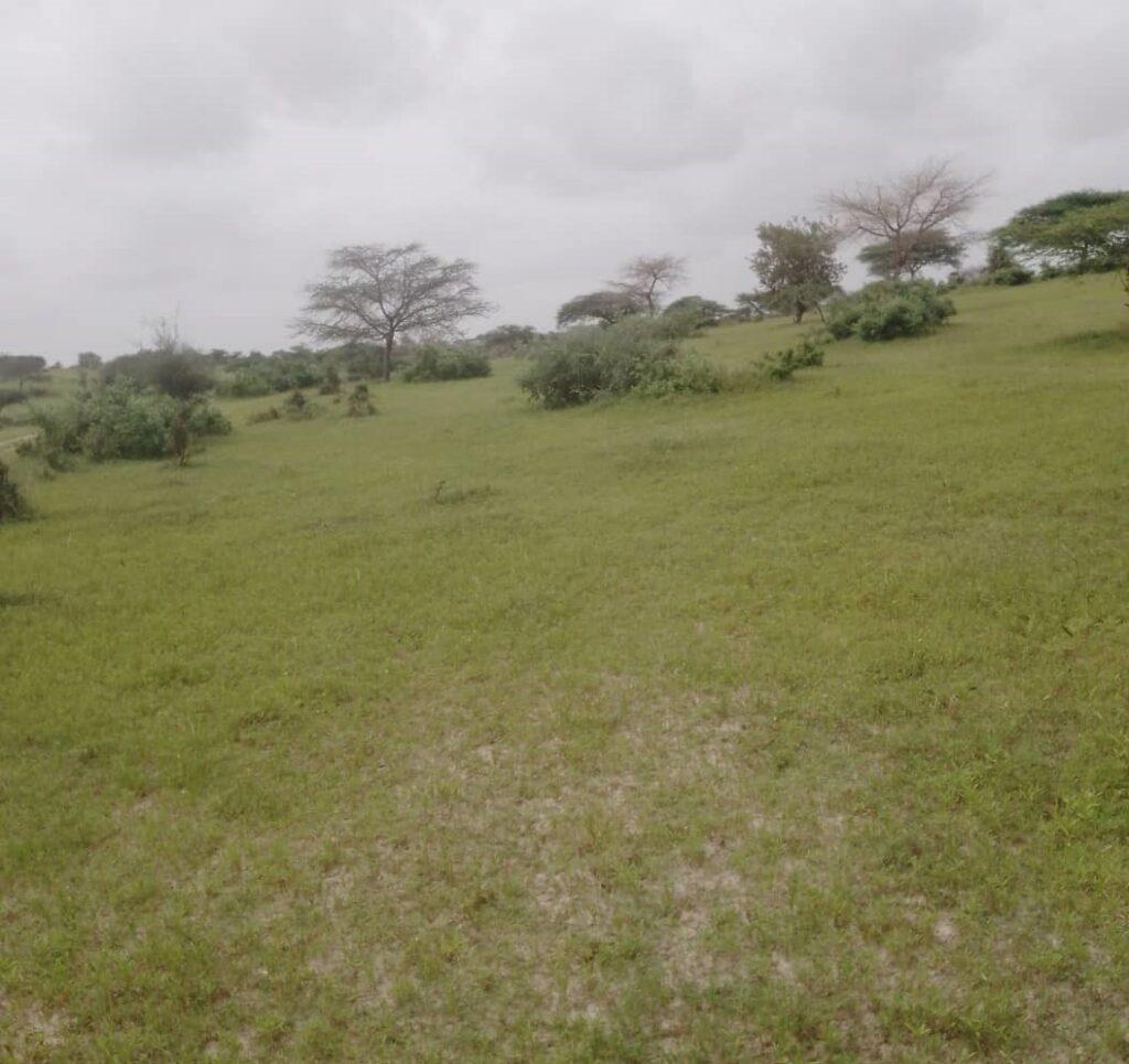 Terrain Agricole de 40 Hectares vers Diokoul – Kébémer