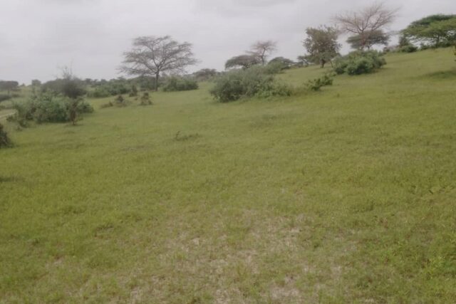 Terrain Agricole de 40 Hectares vers Diokoul – Kébémer