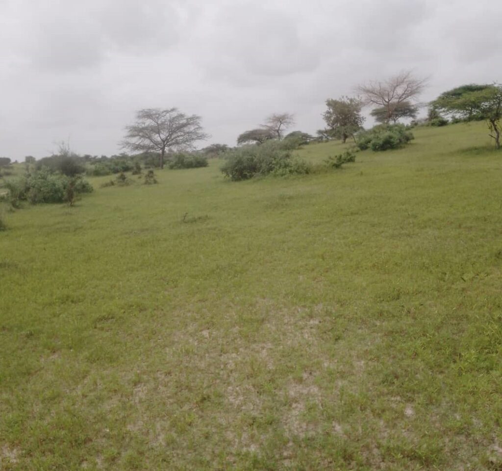 Terrain Agricole de 40 Hectares vers Diokoul – Kébémer