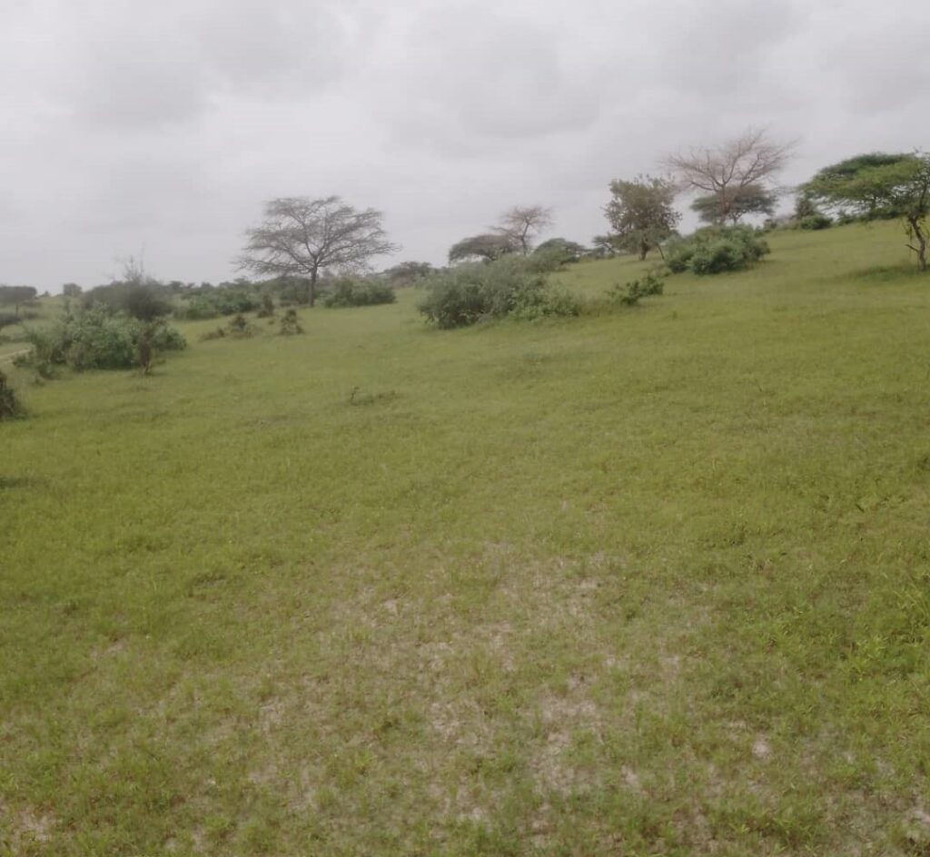 Terrain Agricole de 40 Hectares vers Diokoul – Kébémer