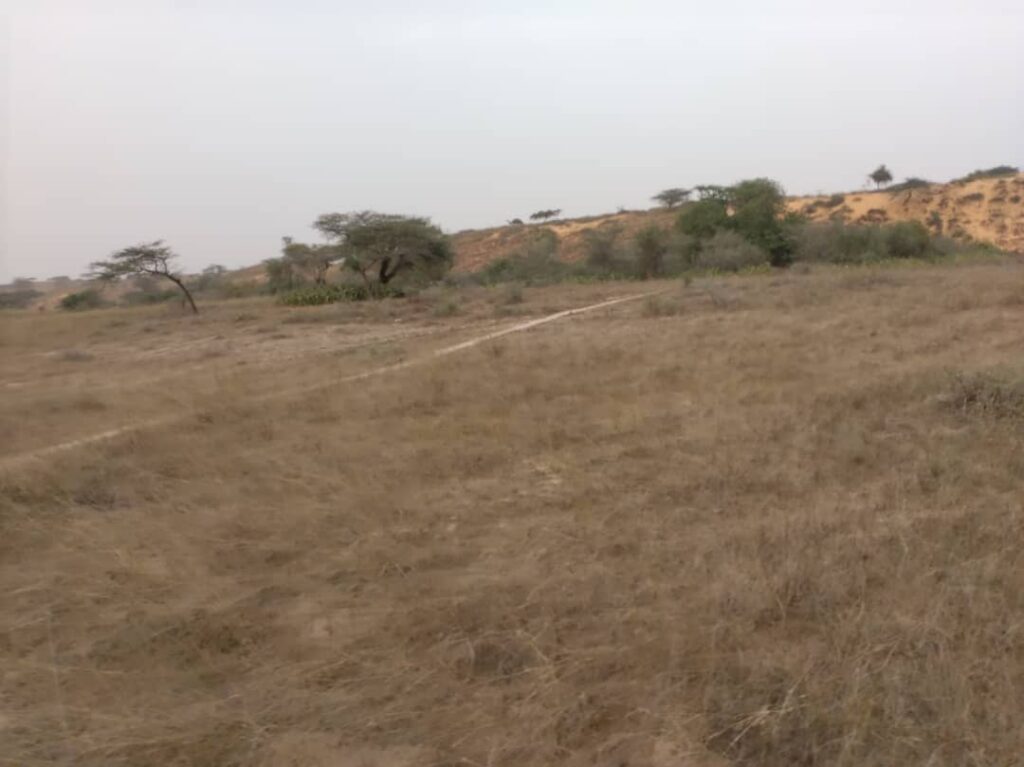Terrain Agricole de 4 567 m² vers Diokoul Diawrigne – Kébémer