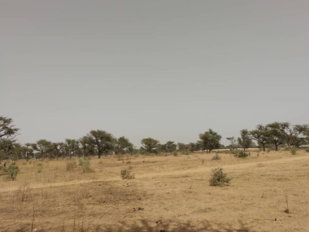 Terrain Agricole de 2,30 Hectares vers Sindia – Mbour