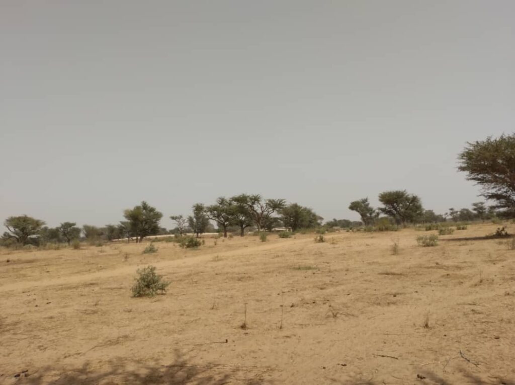 Terrain Agricole de 2,30 Hectares vers Sindia – Mbour