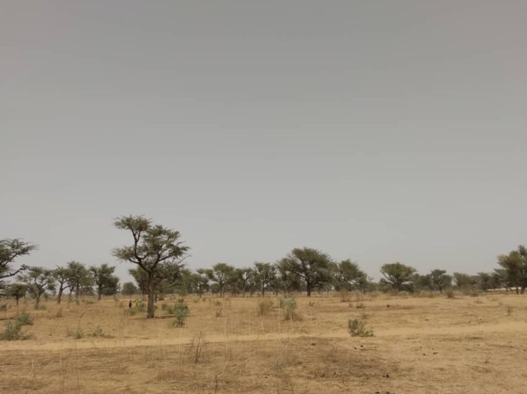 Terrain Agricole de 2,30 Hectares vers Sindia – Mbour