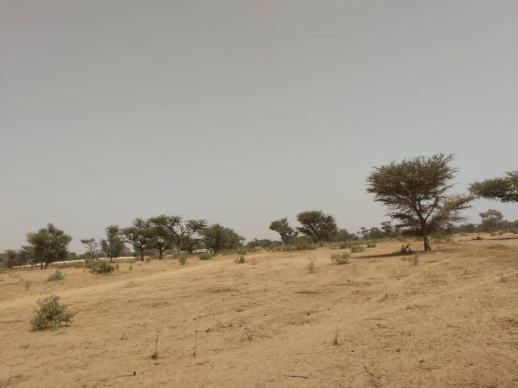 Terrain Agricole de 2,30 Hectares vers Sindia – Mbour