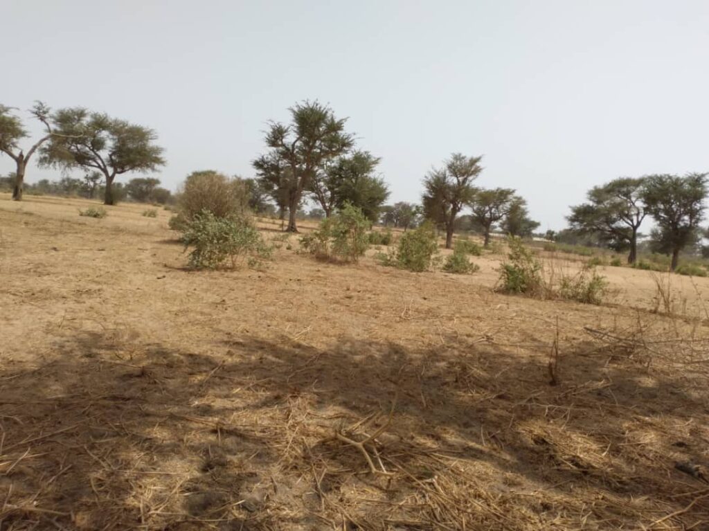 Terrain Agricole de 2,30 Hectares vers Sindia – Mbour