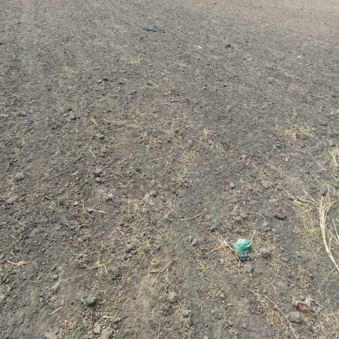 Terrain agricole de 2 Hectares vers Nguékhokh – Mbour