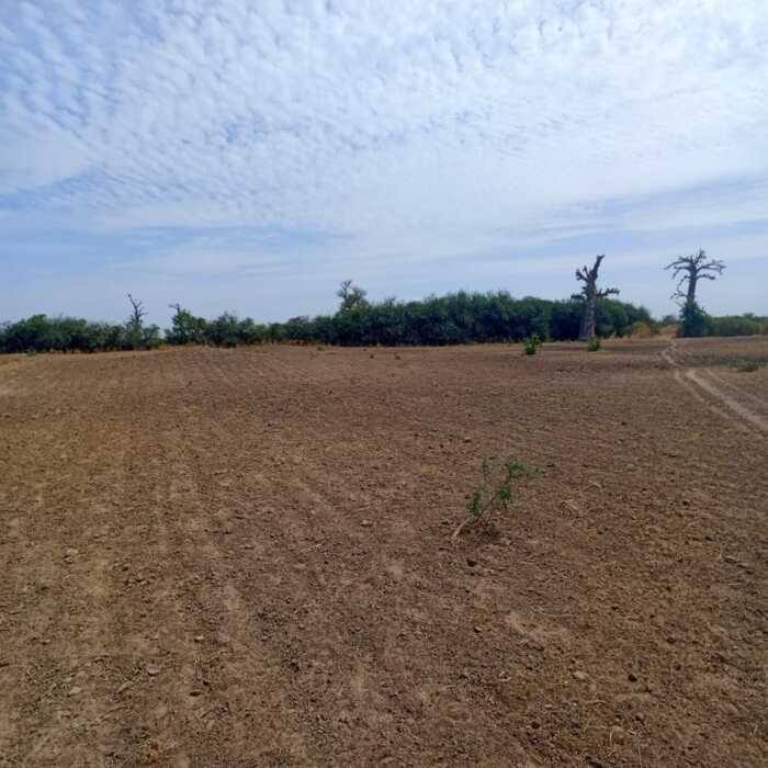 Terrain agricole de 2 Hectares vers Nguékhokh – Mbour