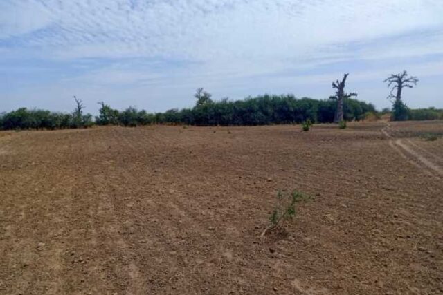 Terrain agricole de 2 Hectares vers Nguékhokh – Mbour