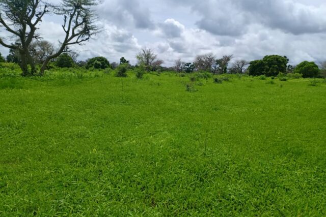 Terrain Agricole de 8579 M² vers Notto Diobass -Thiès