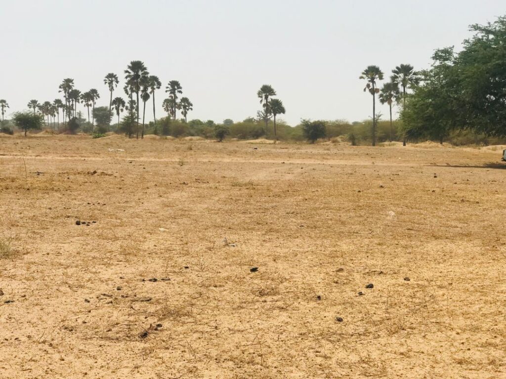 Terrain Agricole de 9103 M²  vers Fimela – Fatick