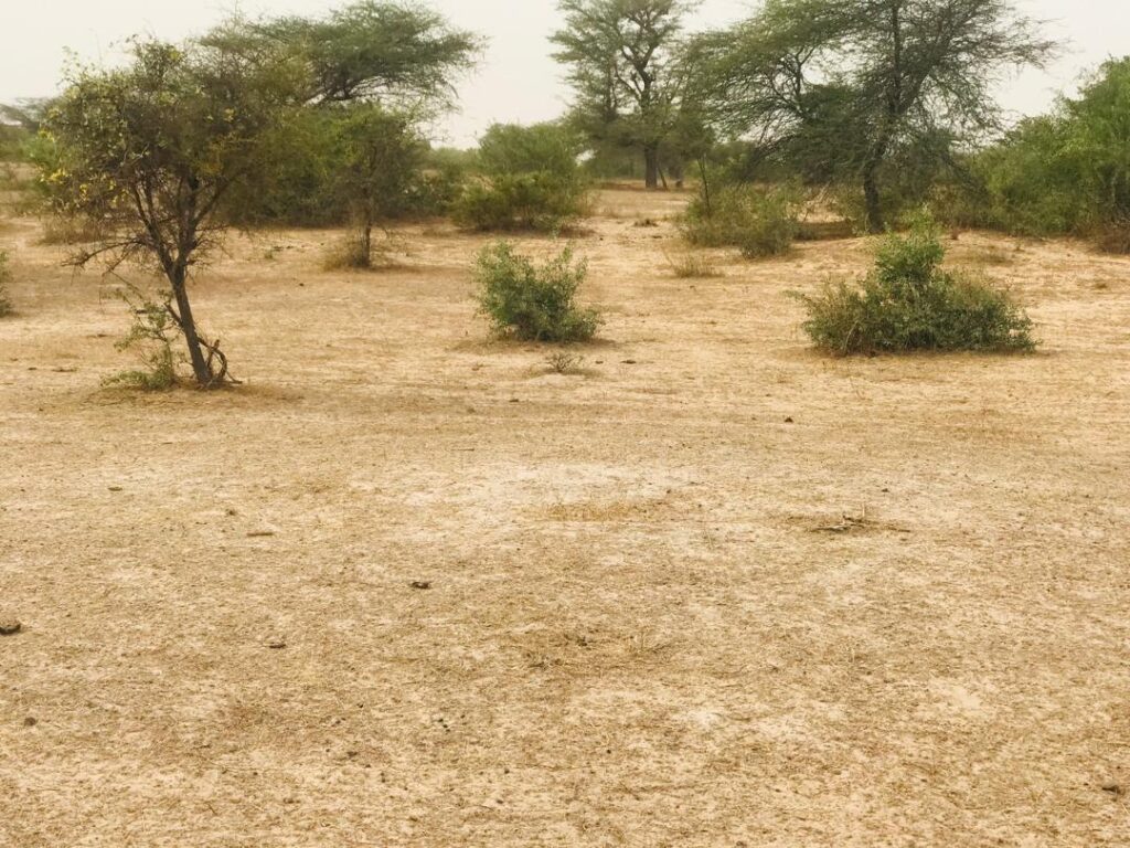 Terrain Agricole de 9,25 Hectares vers Keur Samba Kane – Bambay