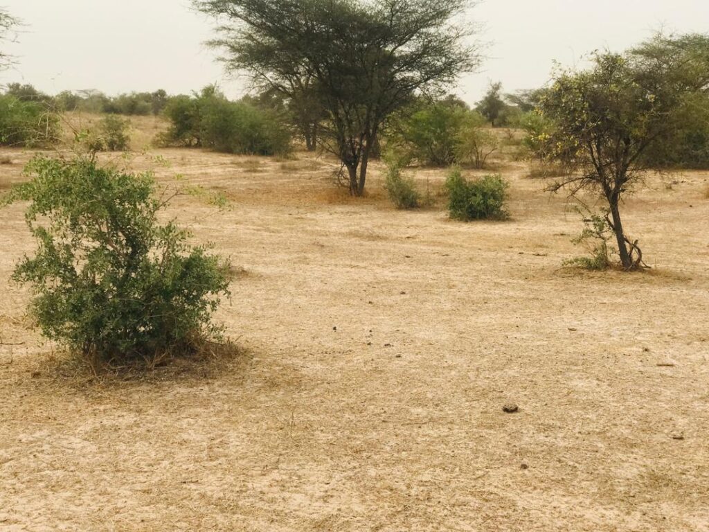 Terrain Agricole de 9,25 Hectares vers Keur Samba Kane – Bambay