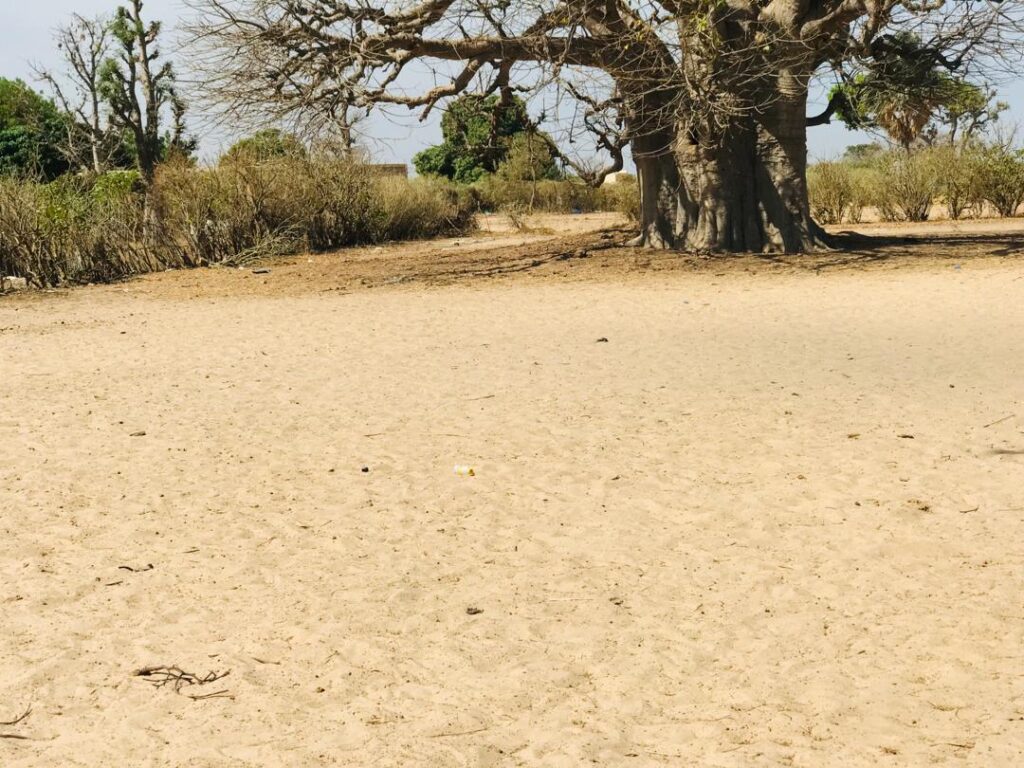 Terrain Agricole  de 3502 M² vers Notto Diobass _ Thiès