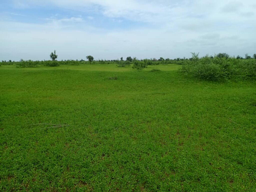 Terrain Agricole de 13 Hectares vers Nghaye – Diourbel