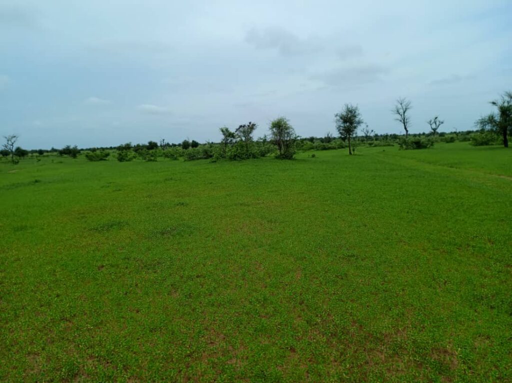 Terrain Agricole de 13 Hectares vers Nghaye – Diourbel