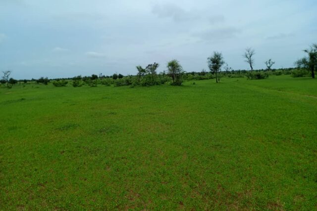 Terrain Agricole de 13 Hectares vers Nghaye – Diourbel