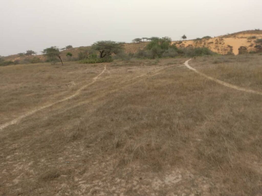 Terrain Agricole de 4 567 m² vers Diokoul Diawrigne – Kébémer