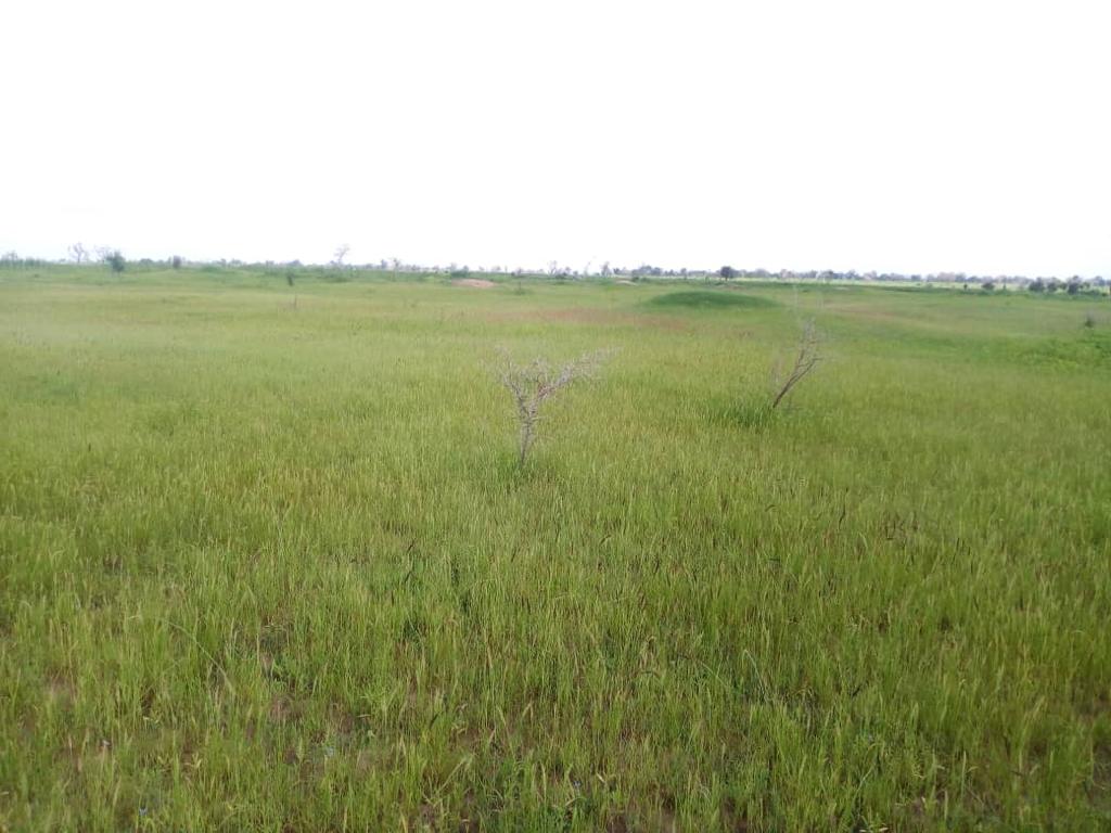 Terrain Agricole de 4,5 Hectares vers Nguéniène – Mbour