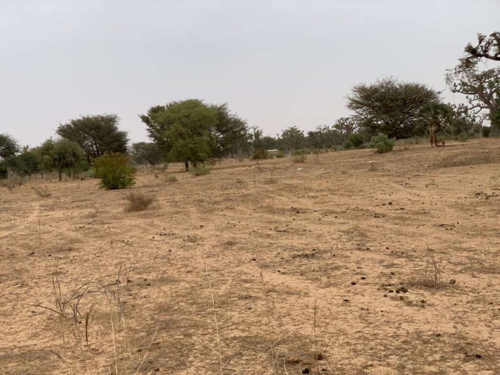 Terrain Agricole de 1,37 Hectare vers Notto Diobass – Thiès