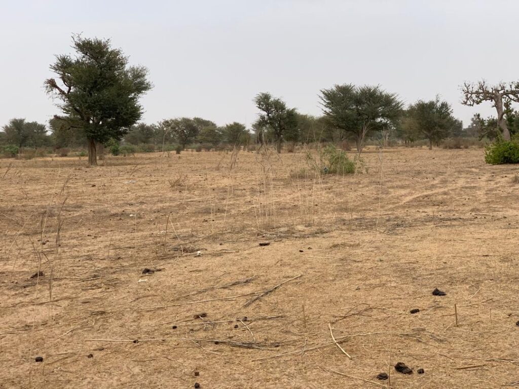 Terrain Agricole de 1,37 Hectare vers Notto Diobass – Thiès