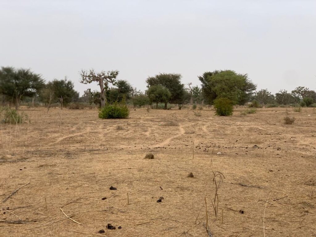 Terrain Agricole de 1,37 Hectare vers Notto Diobass – Thiès