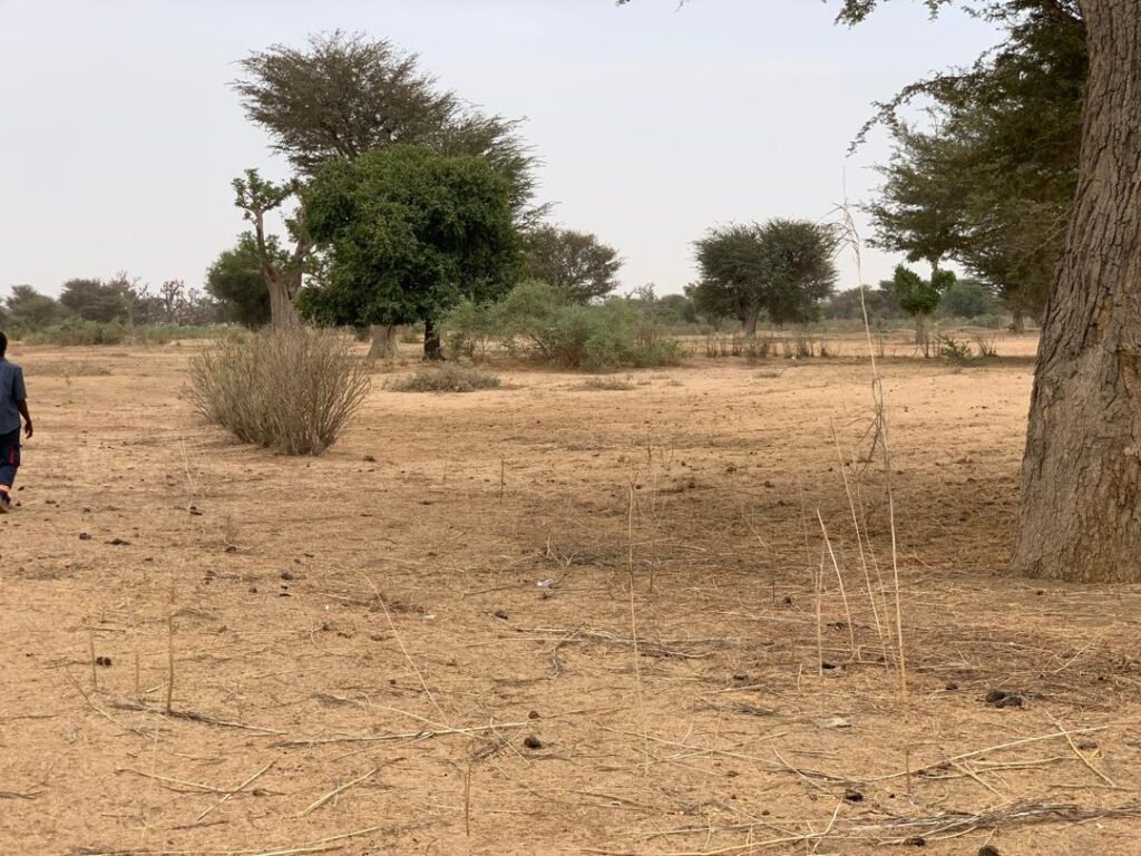 Terrain Agricole de 1,37 Hectare vers Notto Diobass – Thiès