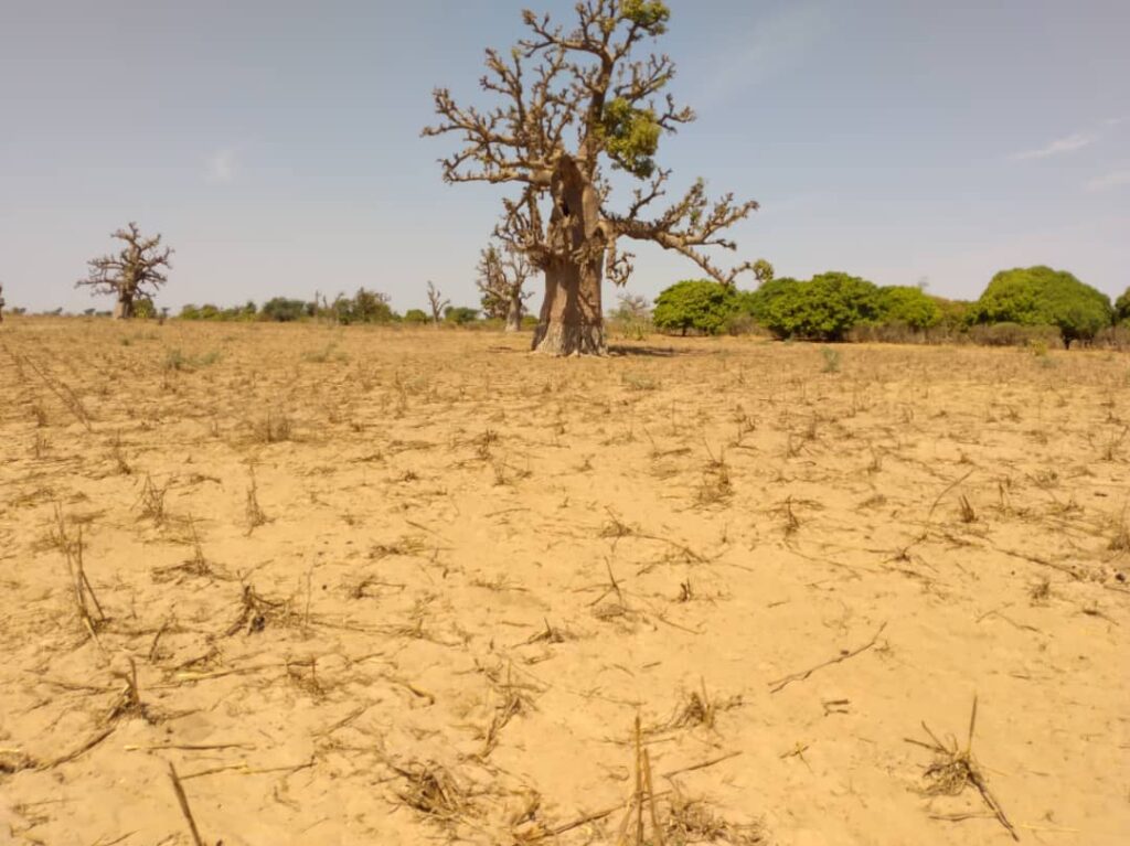 Terrain Agricole de 9942 M² vers Sandiara – Mbour