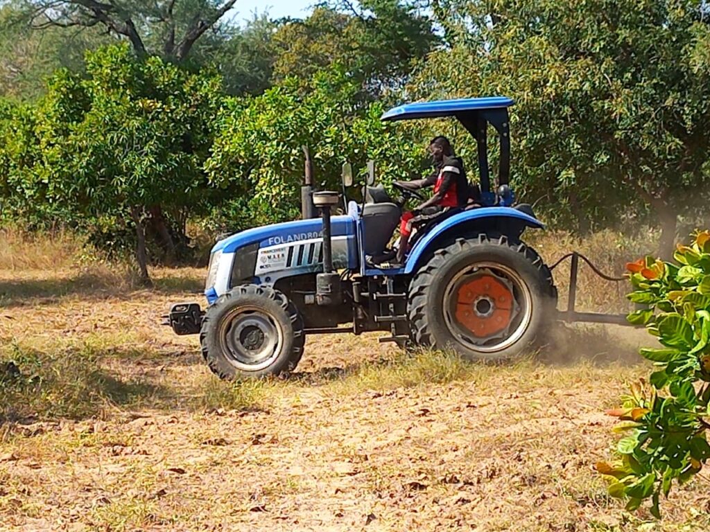 Verger de 4,57 Hectares vers Tataguine – Fatick